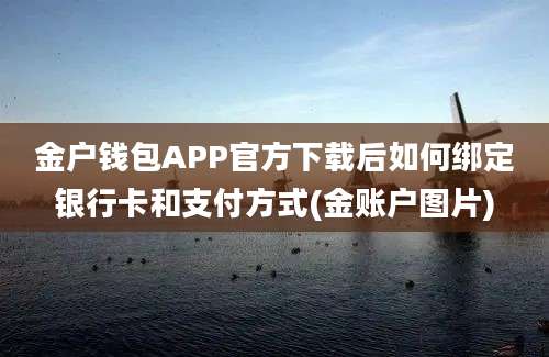 金户钱包APP官方下载后如何绑定银行卡和支付方式(金账户图片)