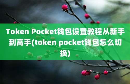 Token Pocket钱包设置教程从新手到高手(token pocket钱包怎么切换)