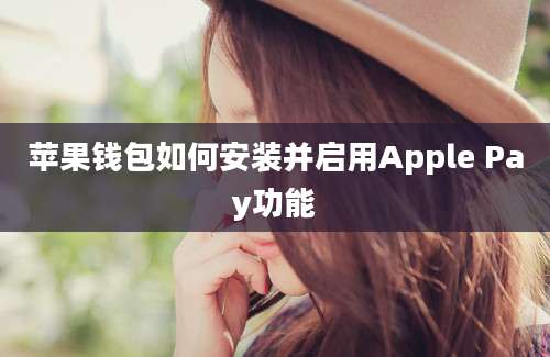 苹果钱包如何安装并启用Apple Pay功能