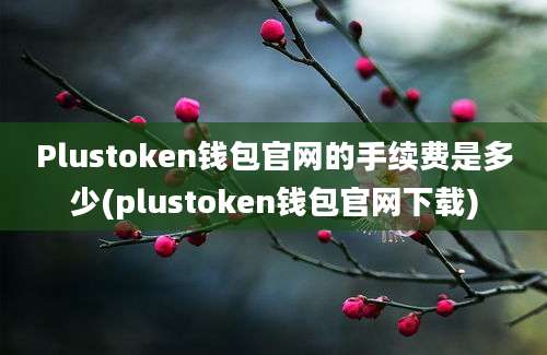 Plustoken钱包官网的手续费是多少(plustoken钱包官网下载)