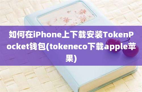 如何在iPhone上下载安装TokenPocket钱包(tokeneco下载apple苹果)