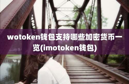 wotoken钱包支持哪些加密货币一览(imotoken钱包)