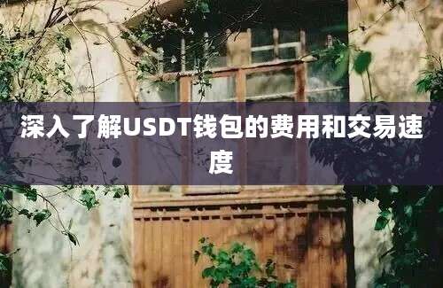 深入了解USDT钱包的费用和交易速度