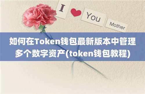 如何在Token钱包最新版本中管理多个数字资产(token钱包教程)