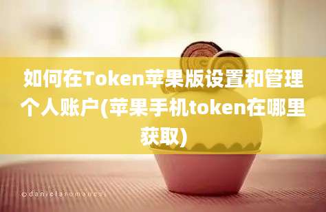 如何在Token苹果版设置和管理个人账户(苹果手机token在哪里获取)