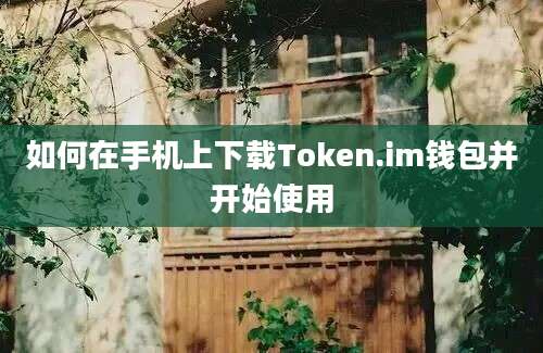 如何在手机上下载Token.im钱包并开始使用