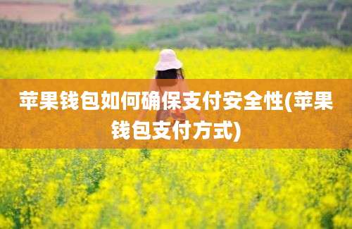 苹果钱包如何确保支付安全性(苹果钱包支付方式)