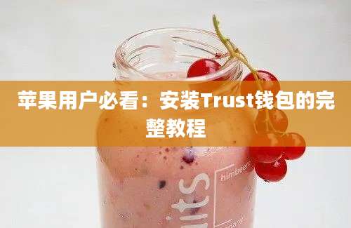 苹果用户必看：安装Trust钱包的完整教程