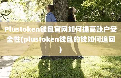 Plustoken钱包官网如何提高账户安全性(plustoken钱包的钱如何追回)