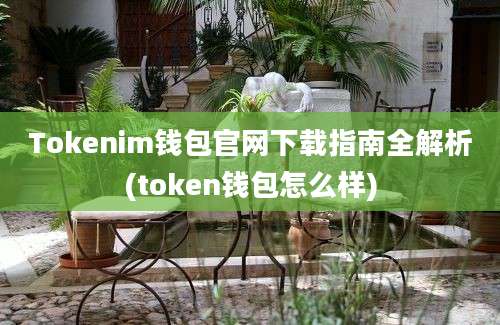 Tokenim钱包官网下载指南全解析(token钱包怎么样)