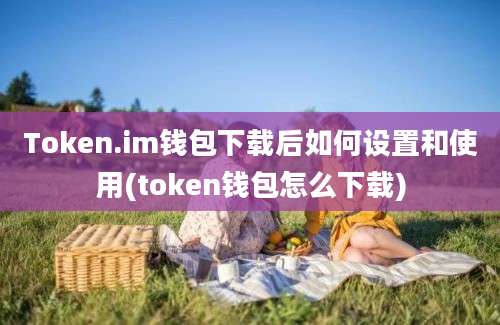 Token.im钱包下载后如何设置和使用(token钱包怎么下载)