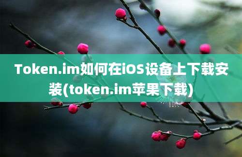 Token.im如何在iOS设备上下载安装(token.im苹果下载)