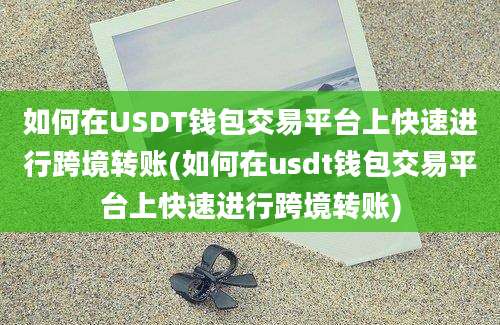 如何在USDT钱包交易平台上快速进行跨境转账(如何在usdt钱包交易平台上快速进行跨境转账)