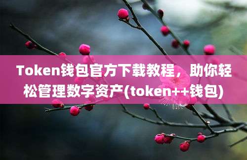 Token钱包官方下载教程，助你轻松管理数字资产(token++钱包)