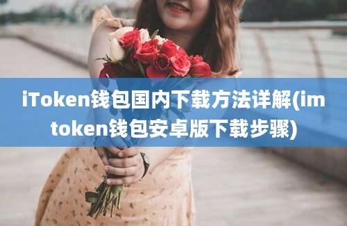 iToken钱包国内下载方法详解(imtoken钱包安卓版下载步骤)