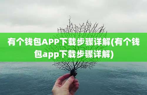 有个钱包APP下载步骤详解(有个钱包app下载步骤详解)