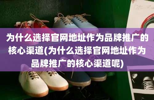 为什么选择官网地址作为品牌推广的核心渠道(为什么选择官网地址作为品牌推广的核心渠道呢)