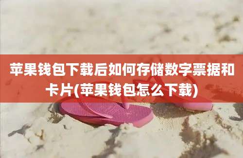 苹果钱包下载后如何存储数字票据和卡片(苹果钱包怎么下载)