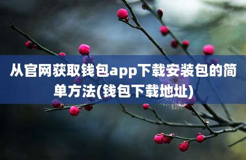 从官网获取钱包app下载安装包的简单方法(钱包下载地址)