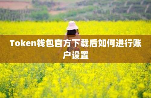 Token钱包官方下载后如何进行账户设置