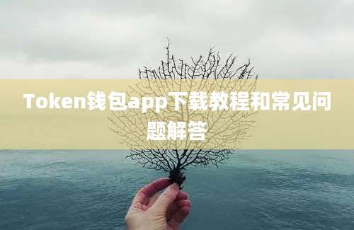 Token钱包app下载教程和常见问题解答