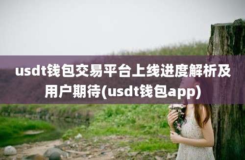 usdt钱包交易平台上线进度解析及用户期待(usdt钱包app)