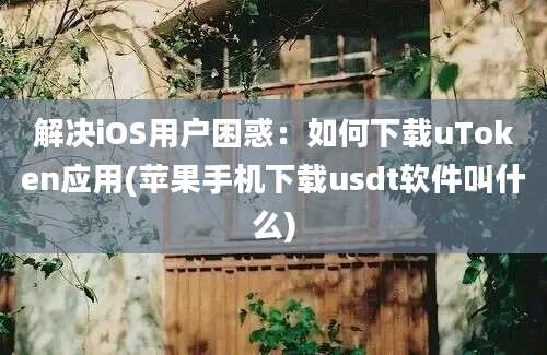 解决iOS用户困惑：如何下载uToken应用(苹果手机下载usdt软件叫什么)