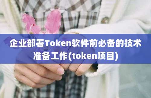 企业部署Token软件前必备的技术准备工作(token项目)