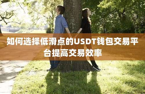 如何选择低滑点的USDT钱包交易平台提高交易效率