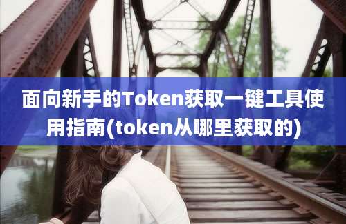 面向新手的Token获取一键工具使用指南(token从哪里获取的)