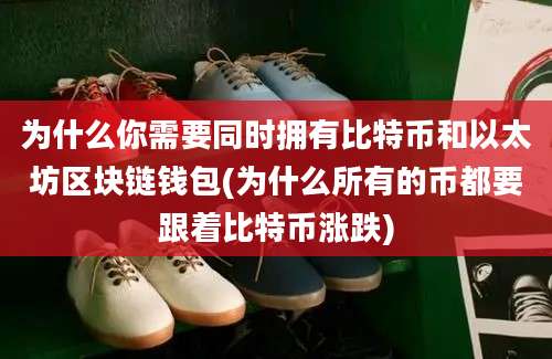 为什么你需要同时拥有比特币和以太坊区块链钱包(为什么所有的币都要跟着比特币涨跌)