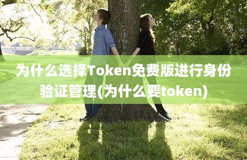 为什么选择Token免费版进行身份验证管理(为什么要token)