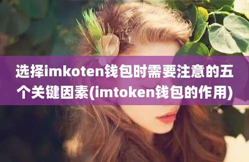 选择imkoten钱包时需要注意的五个关键因素(imtoken钱包的作用)