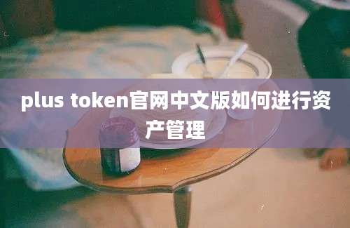 plus token官网中文版如何进行资产管理