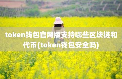 token钱包官网版支持哪些区块链和代币(token钱包安全吗)