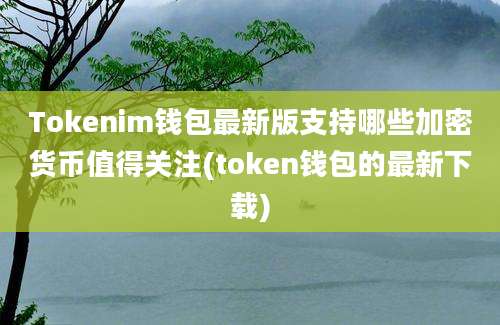 Tokenim钱包最新版支持哪些加密货币值得关注(token钱包的最新下载)