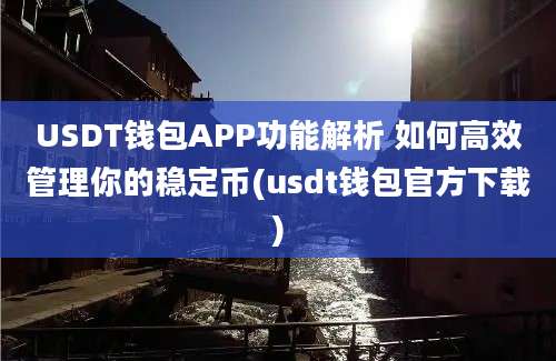 USDT钱包APP功能解析 如何高效管理你的稳定币(usdt钱包官方下载)