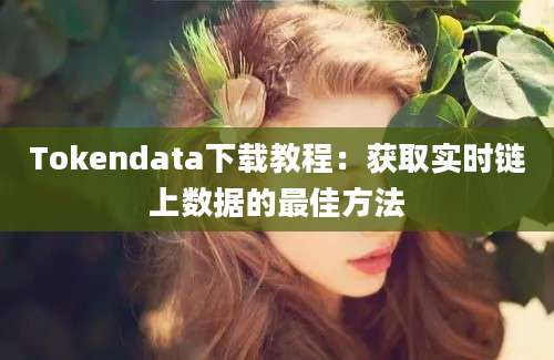 Tokendata下载教程：获取实时链上数据的最佳方法