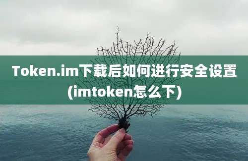 Token.im下载后如何进行安全设置(imtoken怎么下)