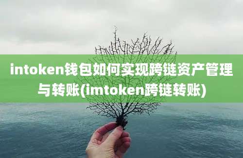 intoken钱包如何实现跨链资产管理与转账(imtoken跨链转账)