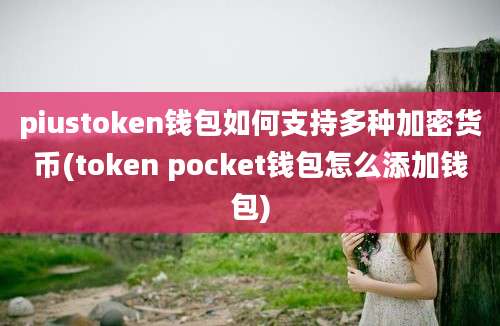 piustoken钱包如何支持多种加密货币(token pocket钱包怎么添加钱包)