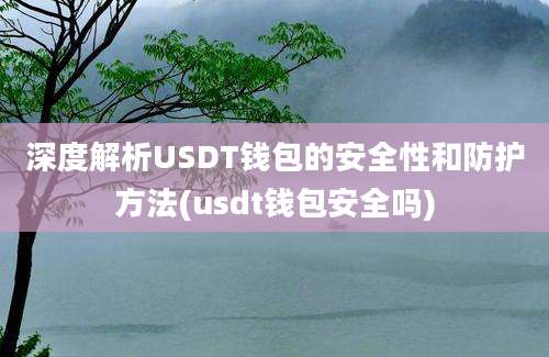 深度解析USDT钱包的安全性和防护方法(usdt钱包安全吗)