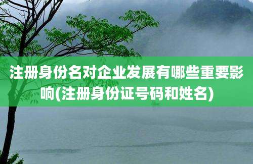 注册身份名对企业发展有哪些重要影响(注册身份证号码和姓名)