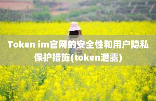 Token im官网的安全性和用户隐私保护措施(token泄露)