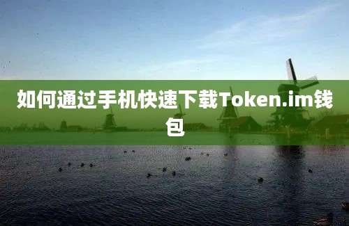 如何通过手机快速下载Token.im钱包