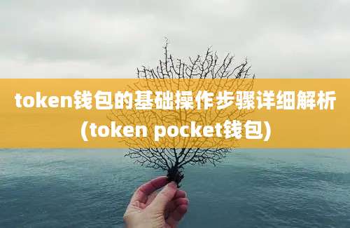 token钱包的基础操作步骤详细解析(token pocket钱包)