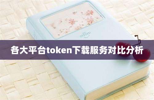 各大平台token下载服务对比分析