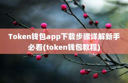 Token钱包app下载步骤详解新手必看(token钱包教程)