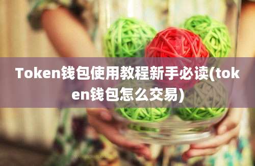 Token钱包使用教程新手必读(token钱包怎么交易)