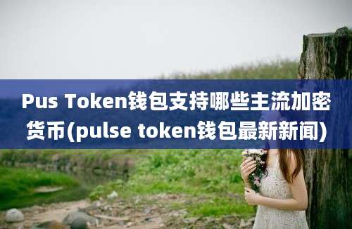 Pus Token钱包支持哪些主流加密货币(pulse token钱包最新新闻)